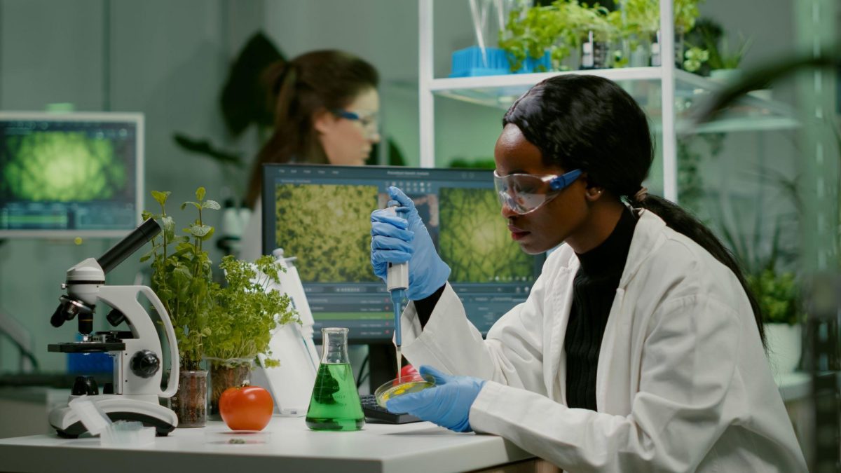SETU | Dawn Meats food science & innovation award