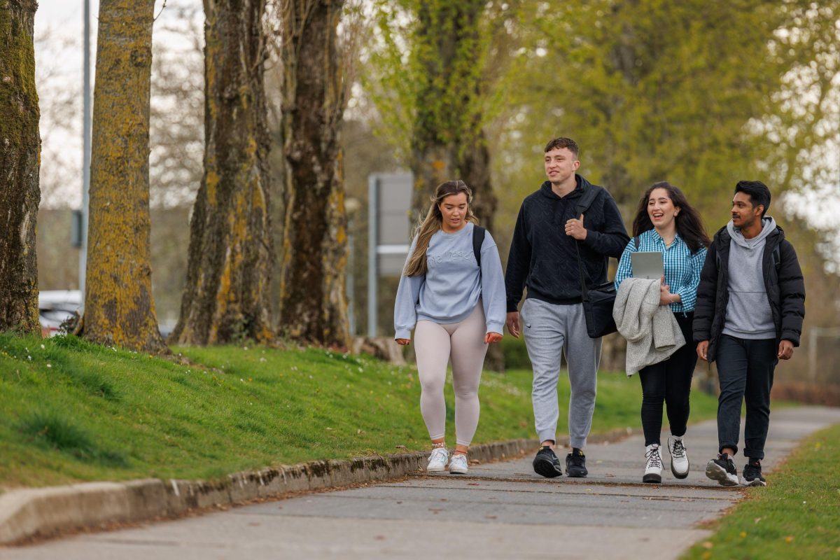 SETU | Undergraduate study