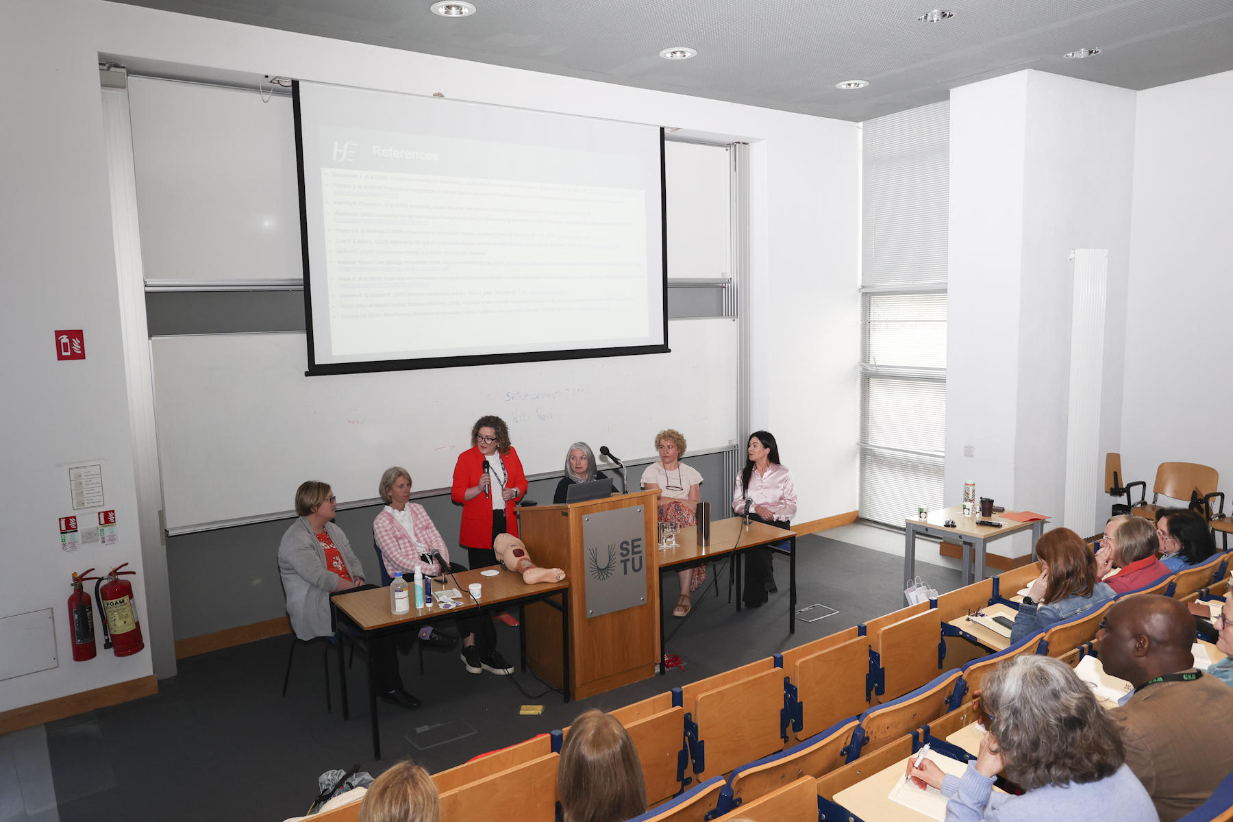 Expert panel discussion at the masterclass