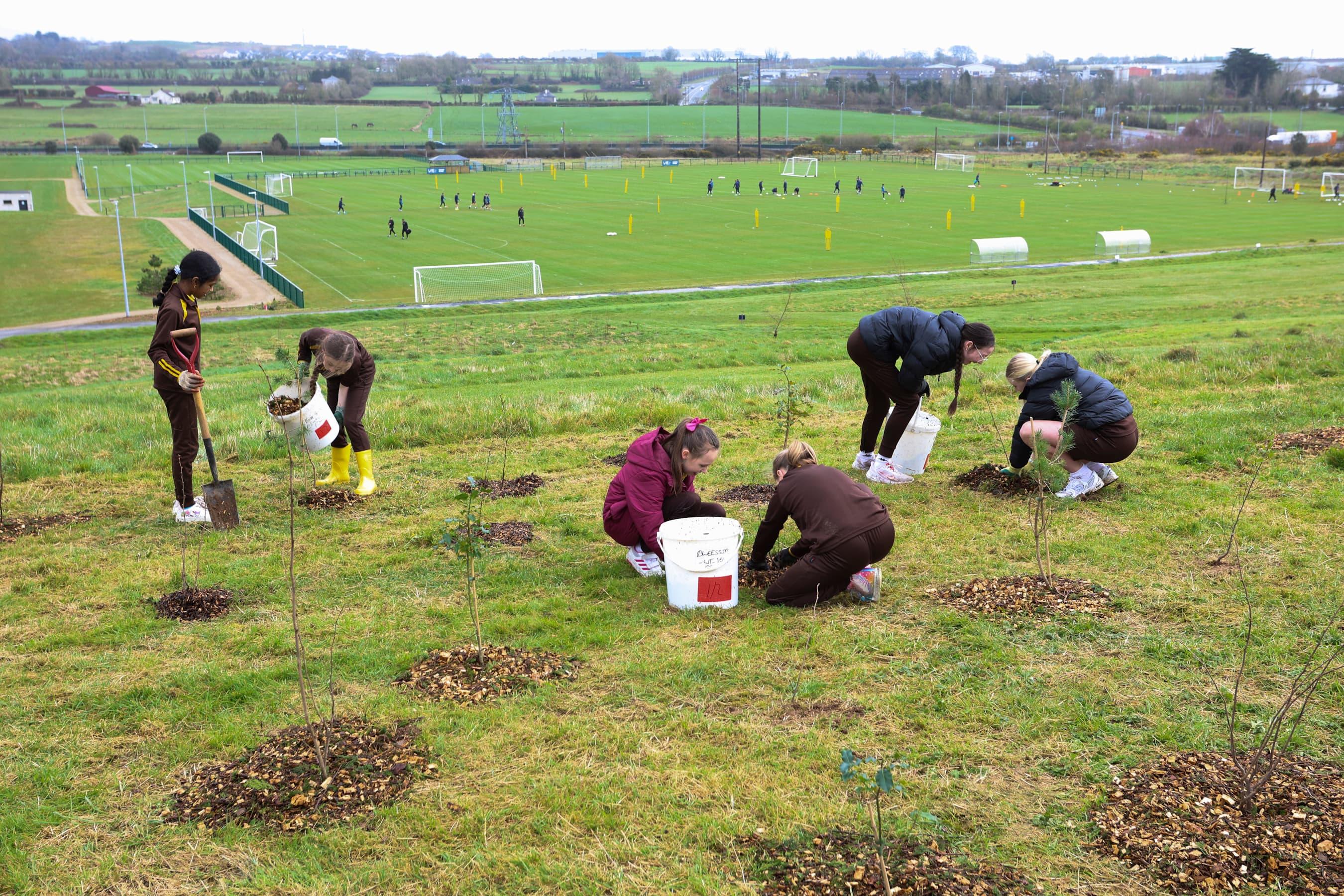 students planting trees