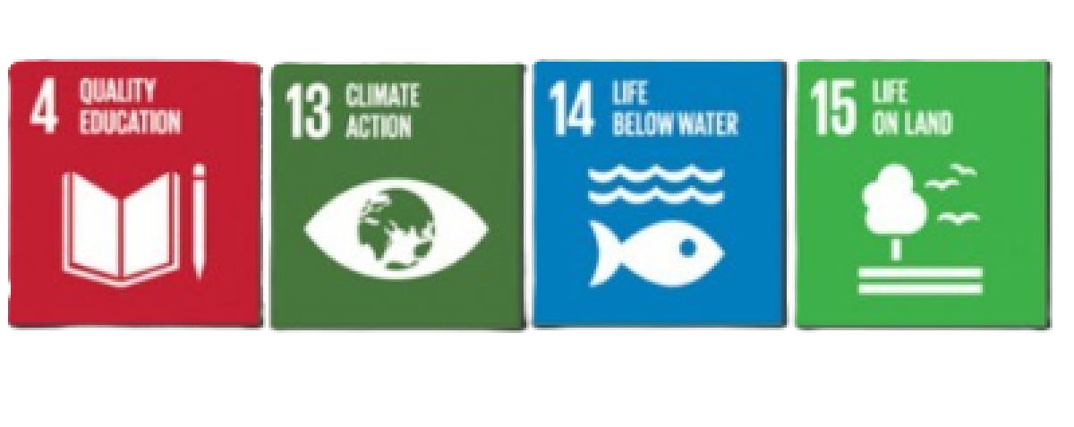 Sustainable Development