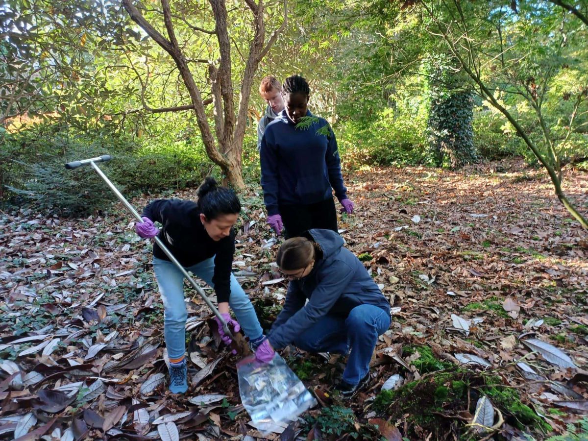 Students sampling out in nature