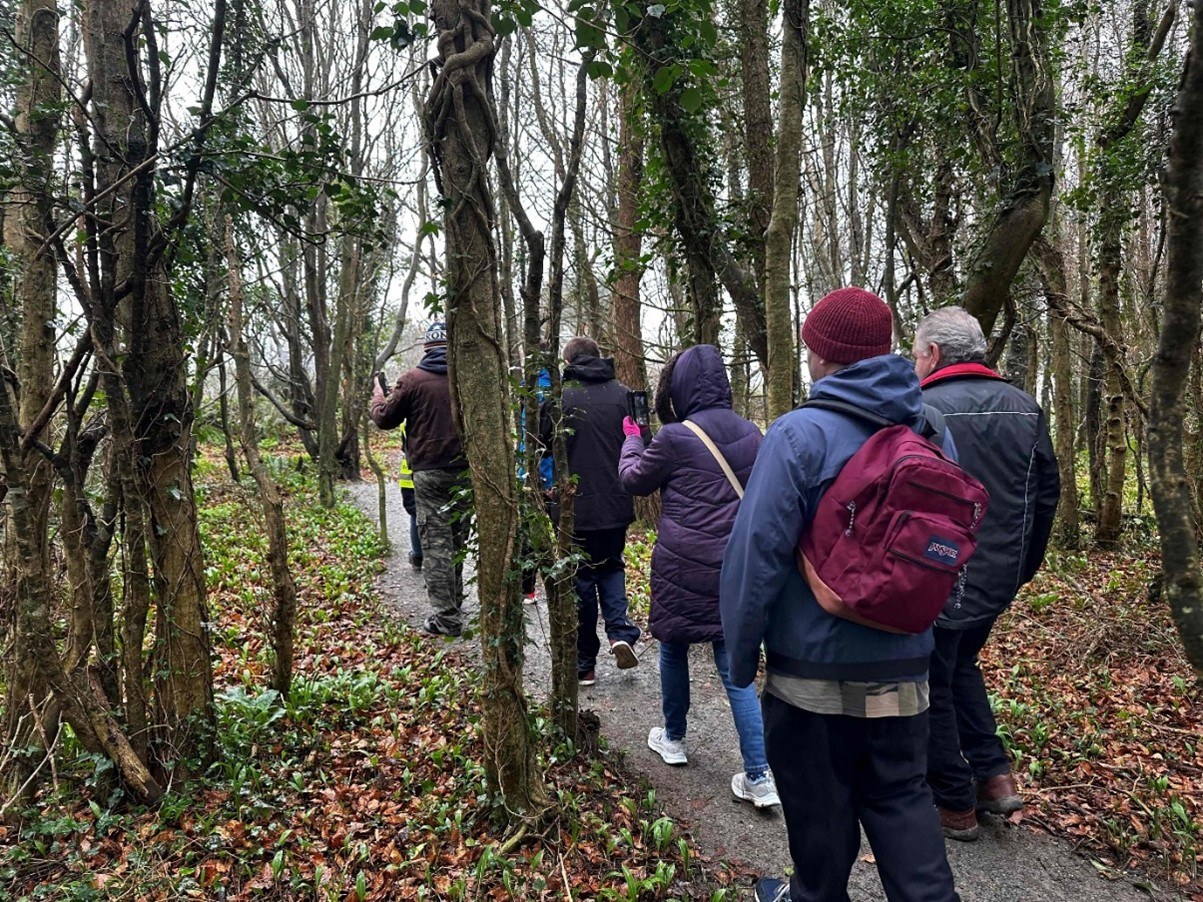 Nature Walker app live demo in forest