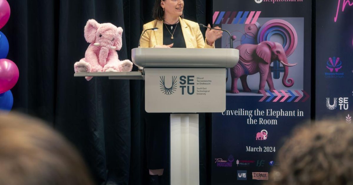 SETU | Senator Lynn Ruane joins forces with key providers of women’s…