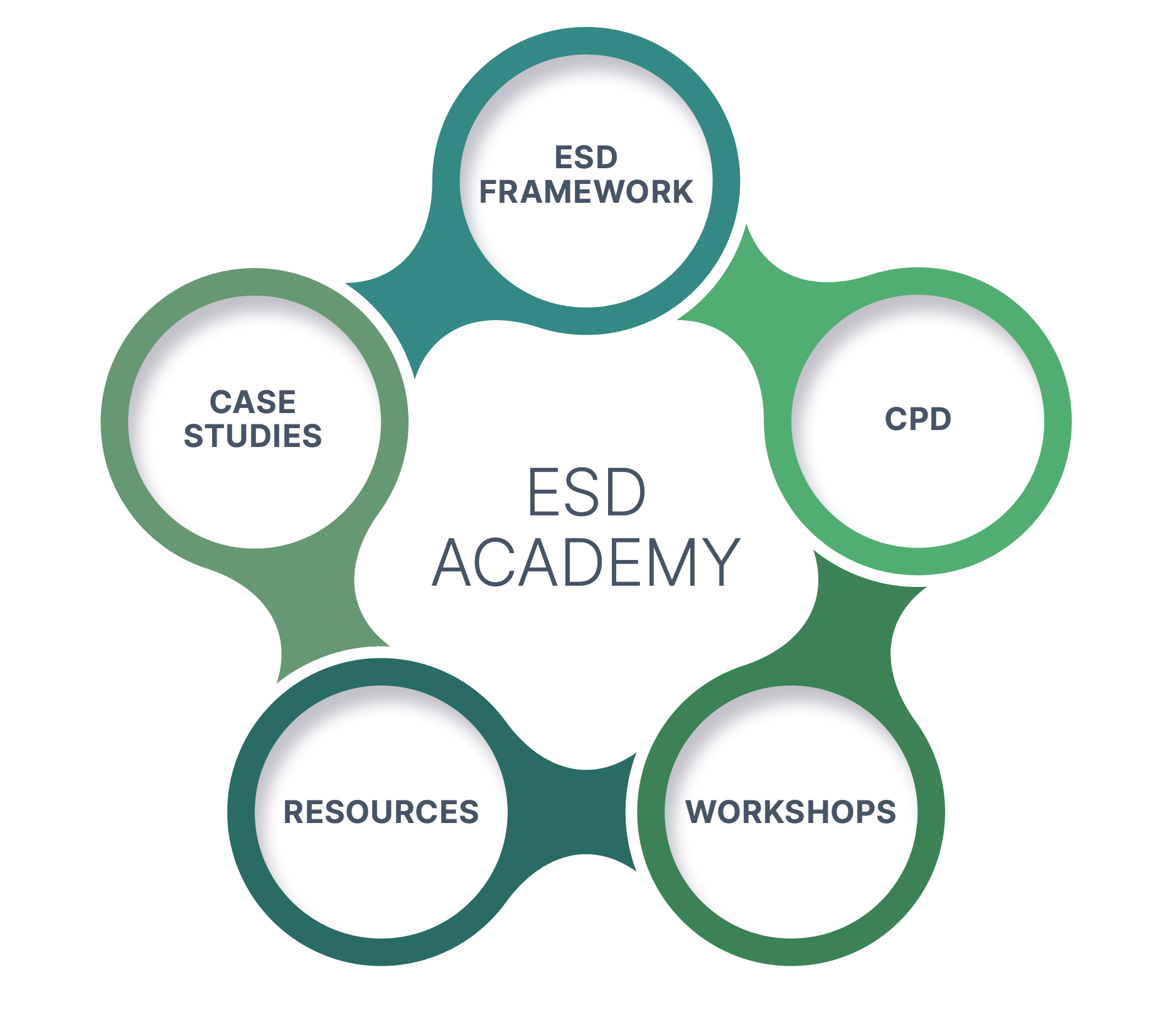 ESD Academy diagram