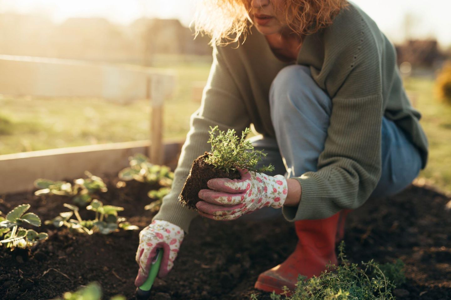 BSc (Hons) in Land Management in Horticulture