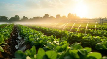 Postgraduate Diploma in Science in Sustainable Agri-Food Systems
