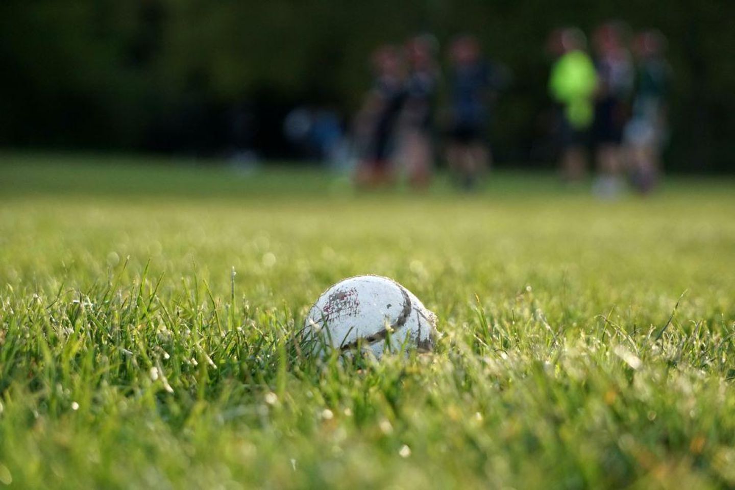 BA in Sport Coaching and Business Management (Gaelic Games)