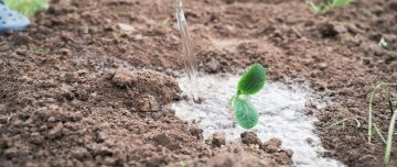 Certificate in Soil Health and Water Management