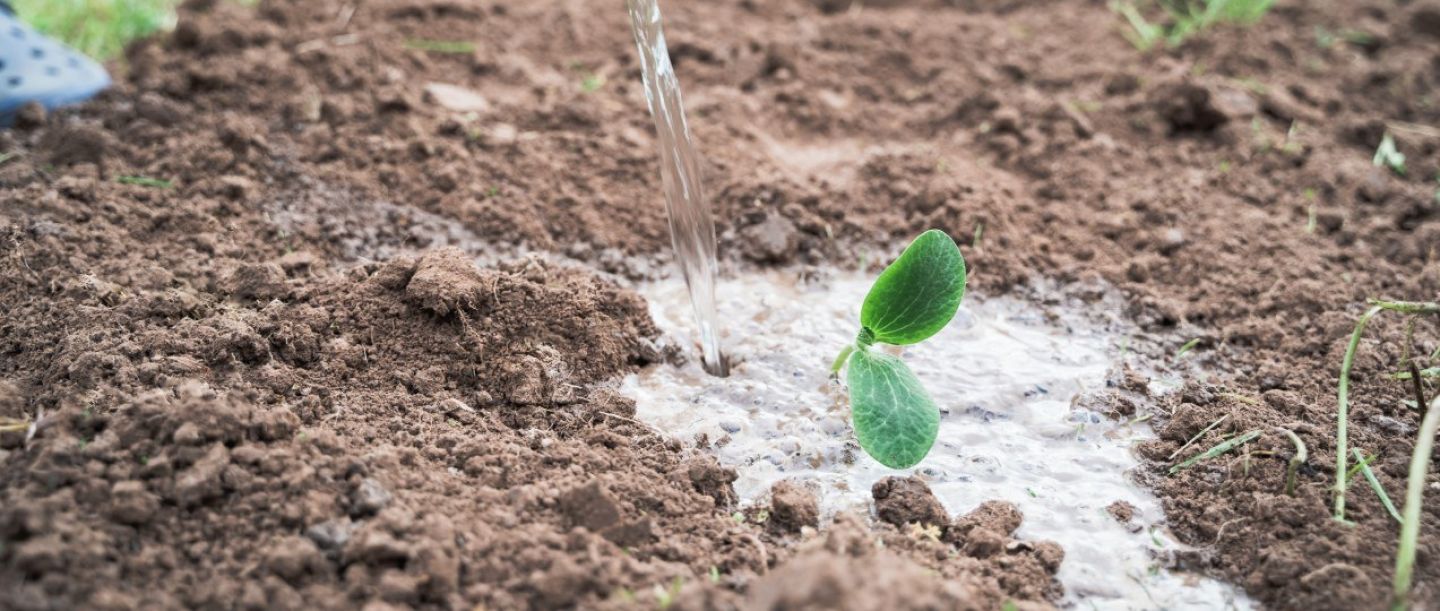 Certificate in Soil Health and Water Management