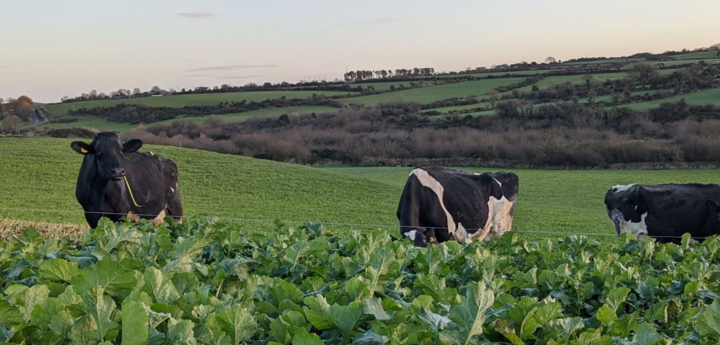 Certificate in Livestock Management in Organic and Biological Agriculture