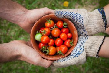 Certificate in Social Enterprise Management