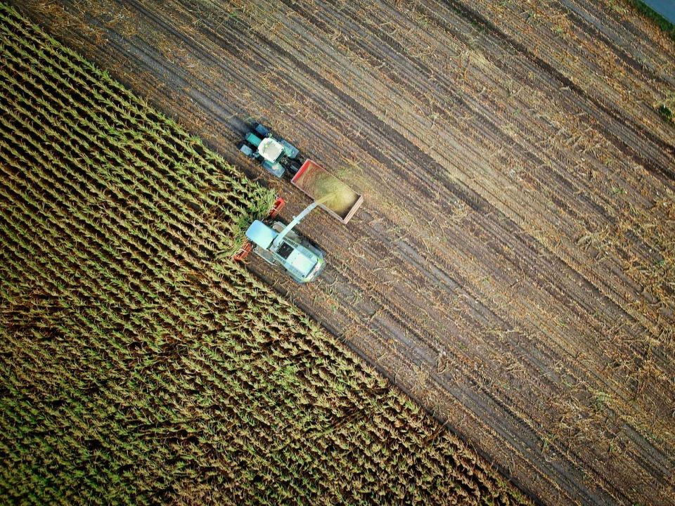 Thumbnail for Agricultural Science Questions Answered