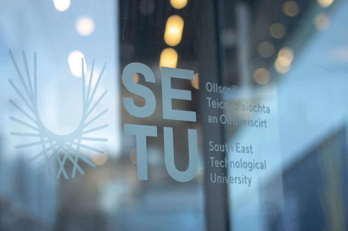 Eight of SETU’s research community receive Research Allies awards