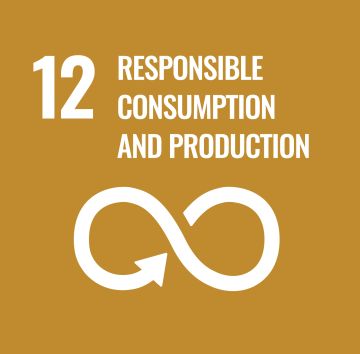 Ensure sustainable consumption and production patterns.
