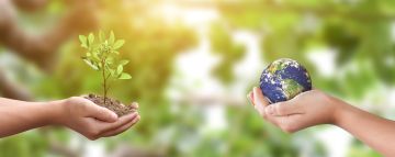 Sustainability, Systems Thinking and the SDGs